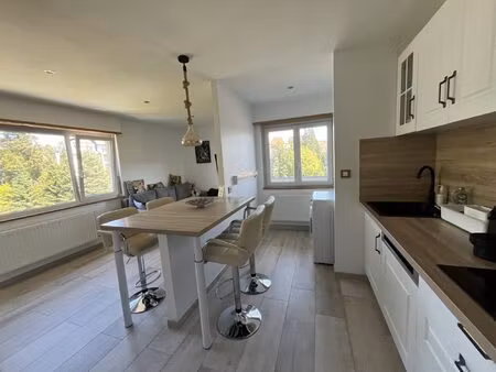 location appartement 2 pièces 35m² saverne 67700