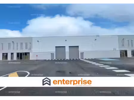 vente local d’activités avelin 59710 498m² à 1016m²