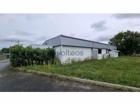 vente local d’activités carbonne 31390 370m²