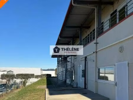 vente local d'activités 1 200 m² à 2 412 m²