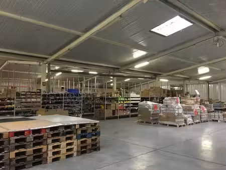 vente local d’activités lys-lez-lannoy 59390 8007m²
