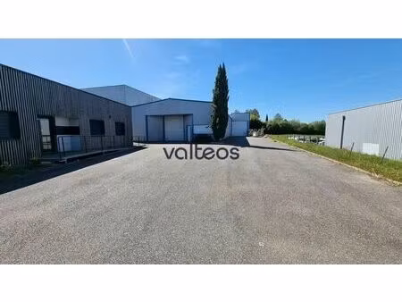 vente local d’activités mondouzil 31850 629m²