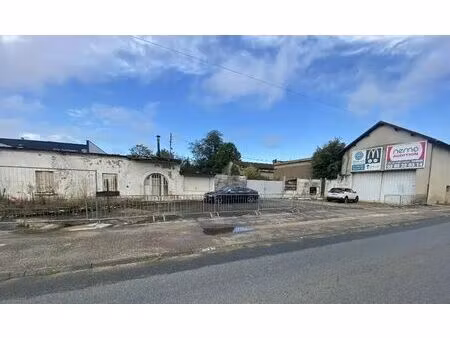 vente local d’activités tournus 71700 200m²