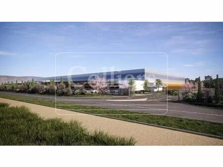 vente entrepôt 21 420 m²