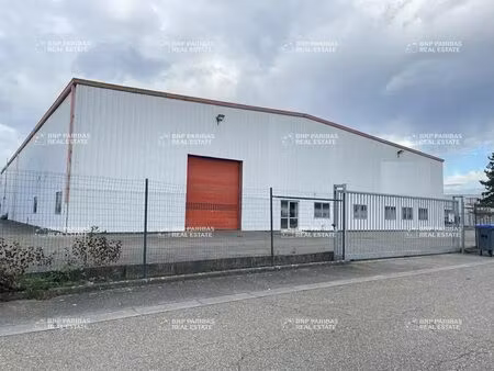 location local d’activités fegersheim 67640 2138m²