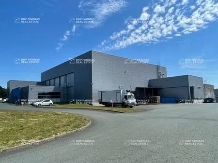 vente local d’activités montaigu-vendée 85600 2460m²