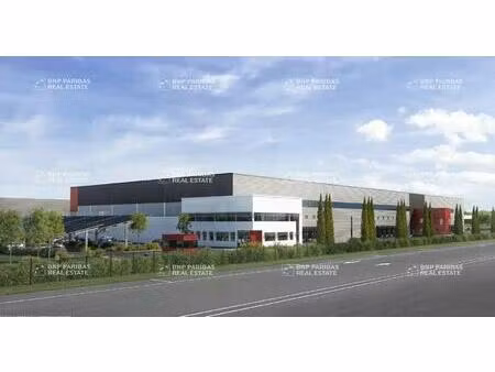 vente entrepôt logistique saint-jean-d’angély 17400 35892m²