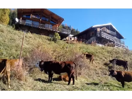 la plagne tarentaise (73210)