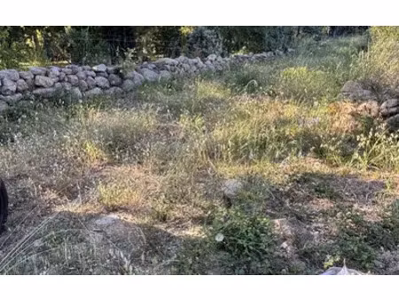 san-gavino-di-carbini (20170)