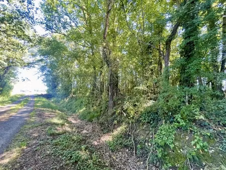 vente terrain 1304 m² lamasquère (31600)