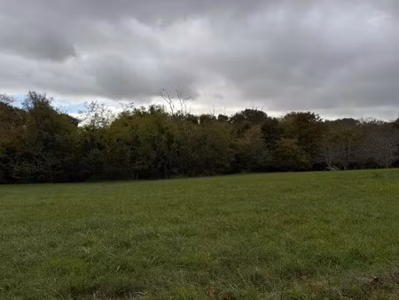 vente terrain 1450 m² gironde-sur-dropt (33190)