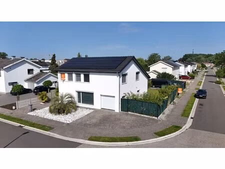 huis te koop in puurs-sint-amands met 4 slaapkamers