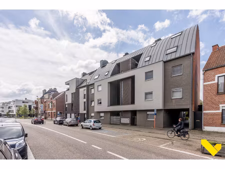 appartement te koop in tessenderlo met 1 slaapkamer