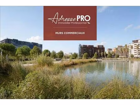 vente commerce montpellier 34070 509m²
