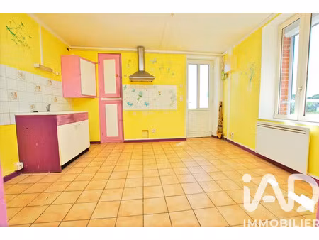 maison de ville à ouzouer-sur-trézée (45250)