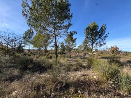 vente terrain à construire 1300 m² la crau (83260)
