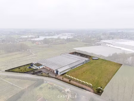 commercieel te koop in beervelde