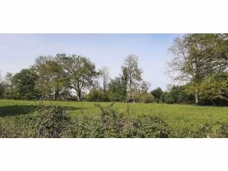 terrain constructible viabilisé à vendre