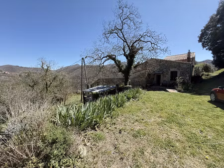 vente maison 8 pièces 203m2 serralongue 66230 - 715000 € - surface privée