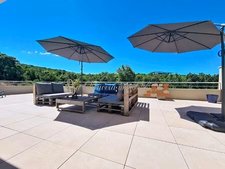 appartement neuf et lumineux avec terrasse xxl  agosta plage