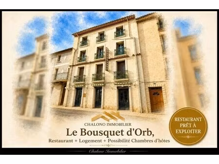 vente local d’activités le bousquet d orb 34260 426m²