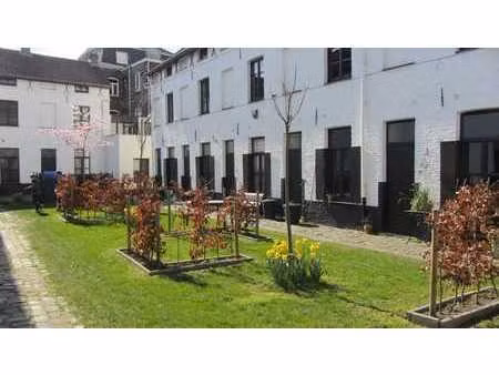 volledig gerenoveerd beluikhuisje in centrum gent !
