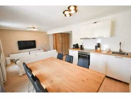duplex renove - centre spa - terrasse rooftop - elec ok