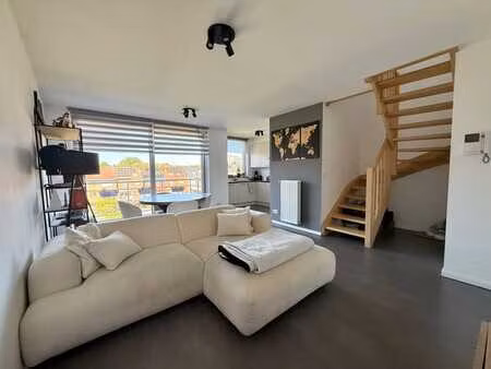 magnifique duplex 2 chambres avec terrasse et parking
