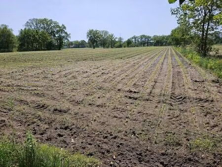 terrain à vendre à olmen € 220.000 (lomae) - | zimmo