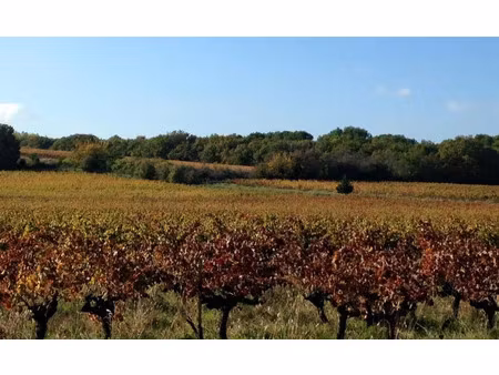 vente terrain 512 m² la lande-de-fronsac (33240)