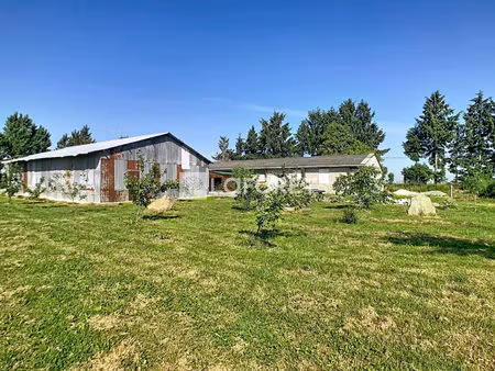 hangar stockage/ agricole