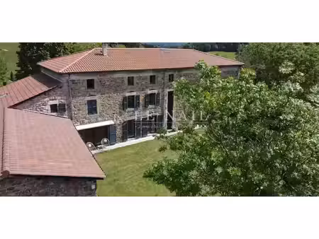 maison contemporaine avec jardin saint-bonnet-le-château (42)