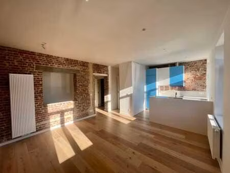 splendide duplex 2 chambres + terrasse