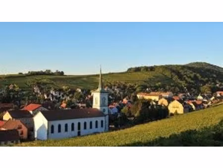 immeuble à vendre barr (67) : immeuble mixte  commerce + logements