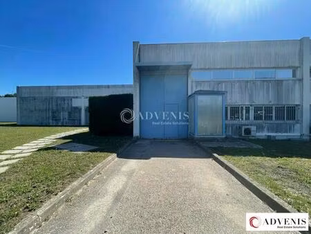 location local d’activités blanquefort 33290 400m²