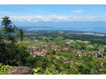 appartement 3 pièces - 63 m²