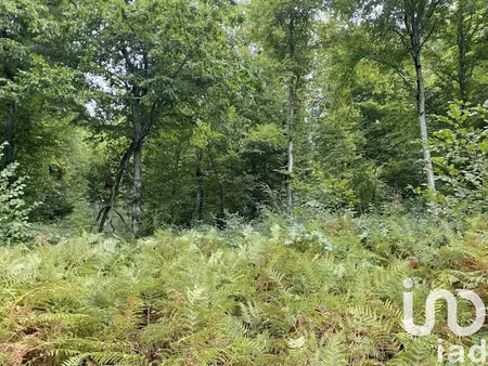 vente terrain 10388 m² à bonnefont (65220)  8 000 €