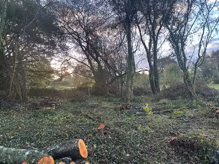 terrain limerzel 2920 m2