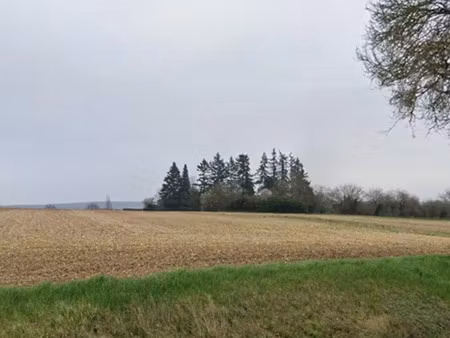 vente terrain 1200 m² à allogny (18110)  32 000 €