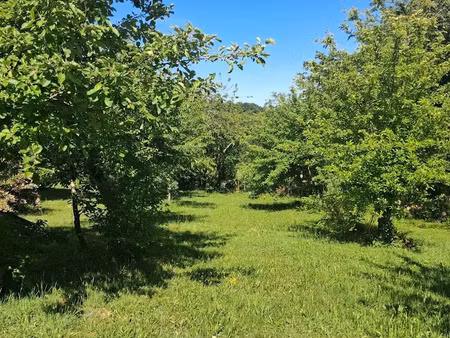 vente terrain 2363 m² à ladignac-sur-rondelles (19150)  30 719 €