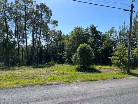 vente terrain 1500 m² à saint-andré-d'allas (24200)  28 000 €