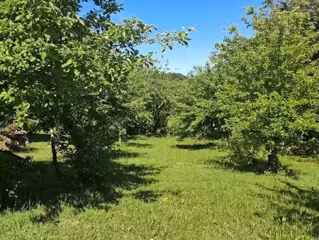 vente terrain 2363 m² à ladignac-sur-rondelles (19150)  30 719 €