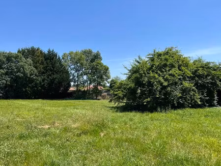 vente terrain 804 m² à bougarber (64230)  76 797 €