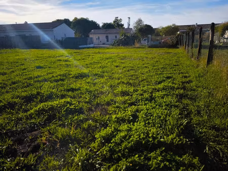 vente terrain 500 m² coufouleux (81800)