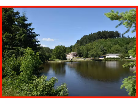 vente immeuble 652 m² le mayet-de-montagne (03250)