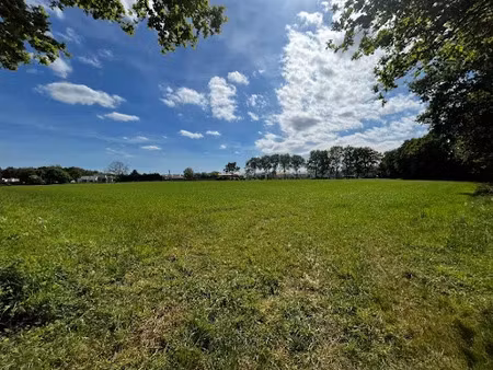 vente terrain 1000 m² à saint-christophe-du-ligneron (85670)  91 000 €