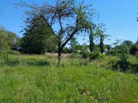 vente terrain 344 m² à chaumes-en-retz (44320)  81 000 €