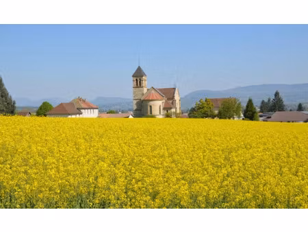 vente terrain 840 m² à saint-jean-d'avelanne (38480)  89 000 €