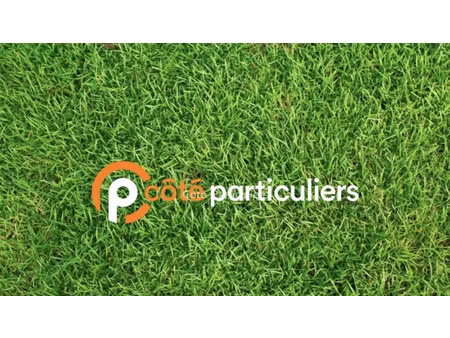 vente terrain 1000 m² à willems (59780)  230 000 €