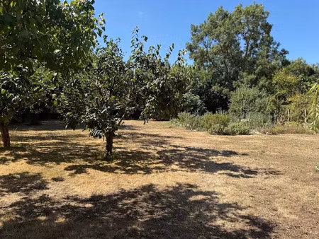 vente terrain 780 m² à saint-laurent-de-la-pree (17450)  137 800 €